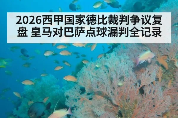 2026西甲国家德比裁判争议复盘 皇马对巴萨点球漏判全记录